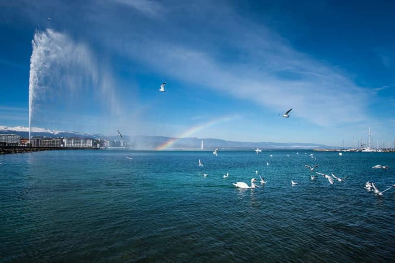 Geneva: Hop-on Hop-Off Bus & Scenic Mini-Train Tour - Should you book this Geneva tour?
