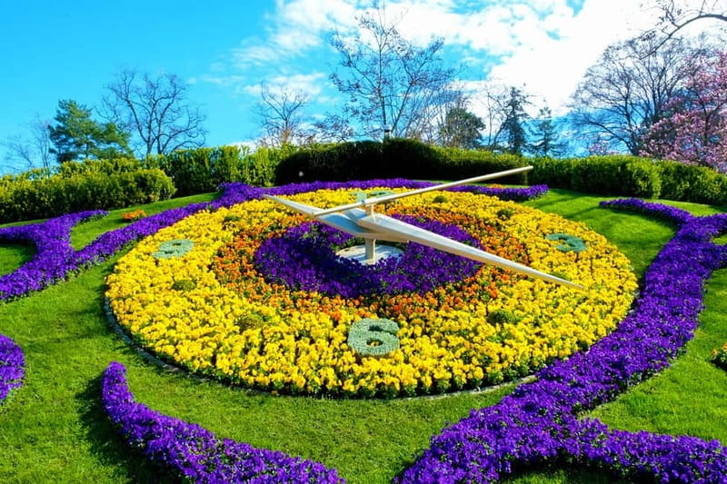 Geneva: Open-Top Sightseeing Bus Tour - The Flower Clock and Geneva’s watchmaking identity