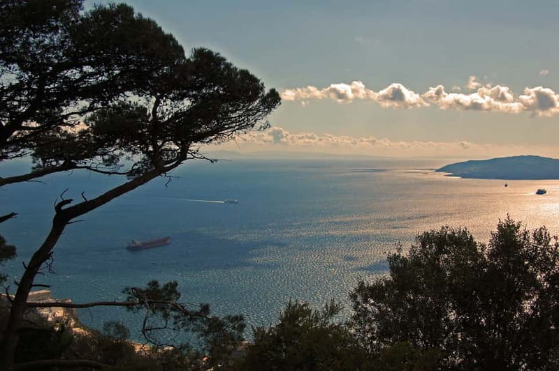 Gibraltar: Guided Tour by Bus Including Tickets - A quick way to understand Gibraltar