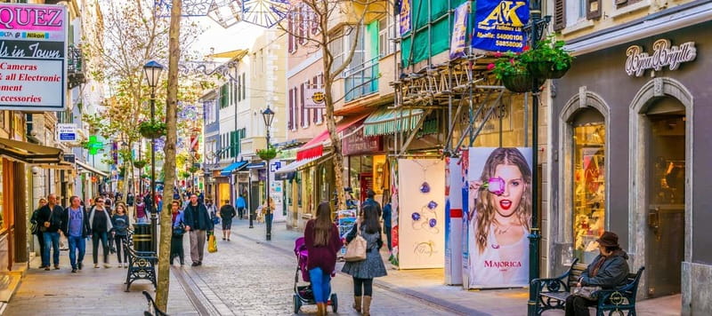 Gibraltar: Guided Tour by Bus Including Tickets - Riding the Rock with a skilled driver