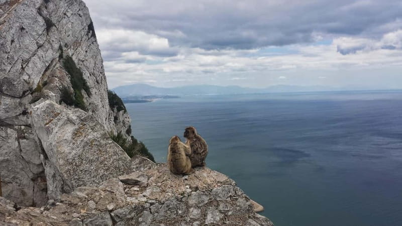 Gibraltar: Guided Tour by Bus Including Tickets - St Michael’s Cave, the tour’s best indoor stop