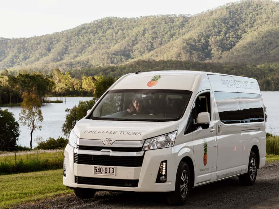 Gold Coast: Daytime Glow Worm Caves and Hop-on Hop-off Tour - The 15-minute Tamborine Mountain photo stop