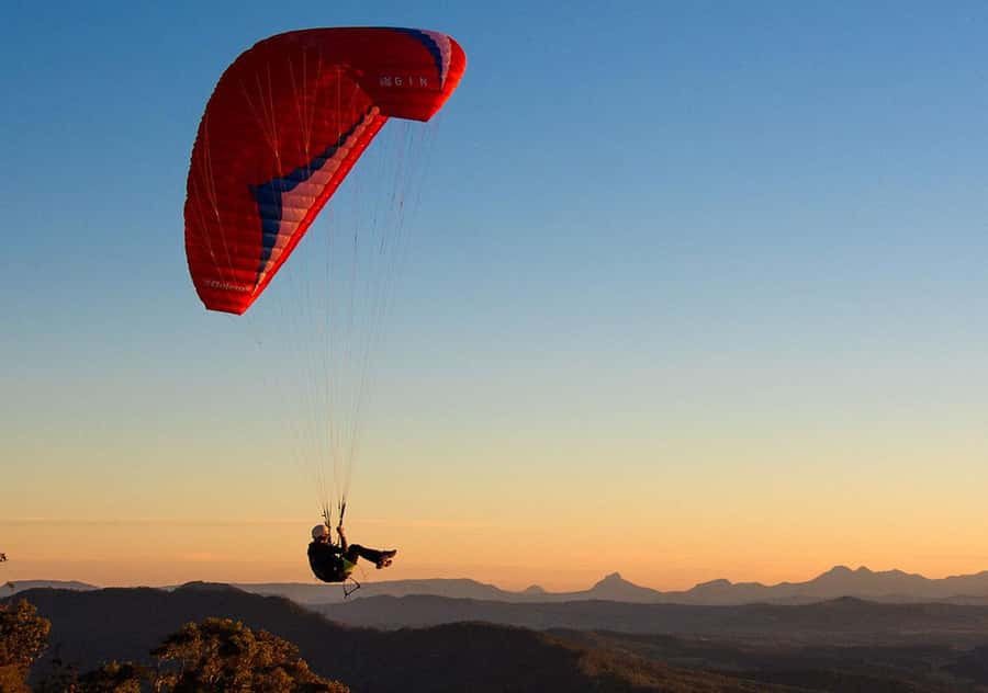 Gold Coast: Hop on Hop off Bus to Tamborine Mountain - Who should book this mountain shuttle?
