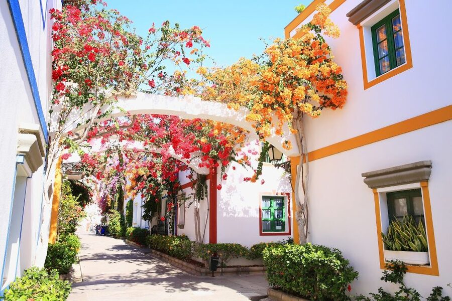Gran Canaria: Full-Day Island Sightseeing Coach Tour - San Nicolás brings a short taste of the west