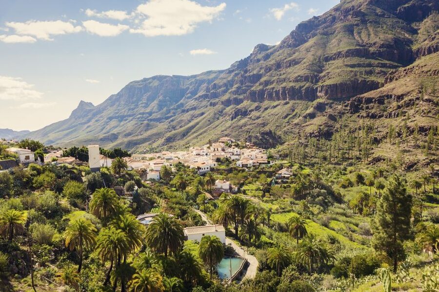 Gran Canaria: Full-Day VIP Tour by Bus - Who will get the most from this day