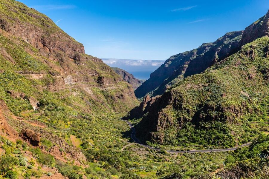 Gran Canaria: Full-Day VIP Tour by Bus - Guayadeque and the old quarter of Agüimes
