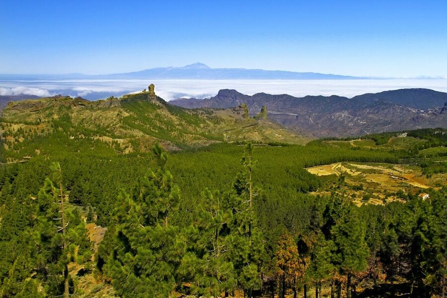 Gran Canaria Highlights Full-Day Tour by Bus - Why this bus tour shows Gran Canaria so well