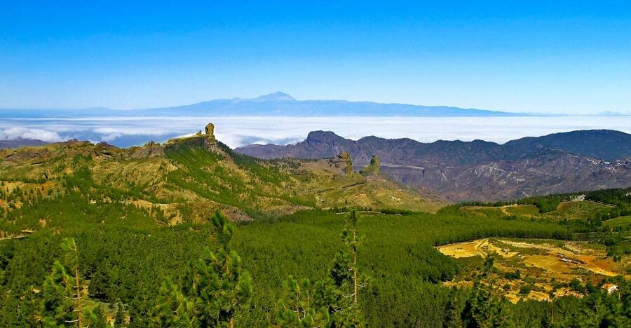 Gran Canaria Highlights Full-Day Tour by Bus - Teror and the Basilica of Nuestra Señora del Pino