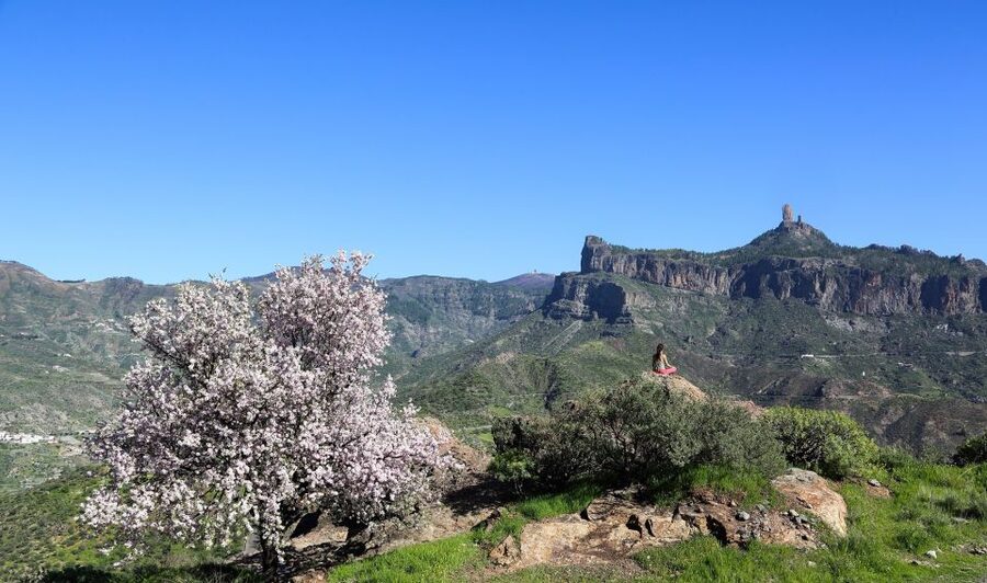 Gran Canaria Highlights Full-Day Tour by Bus - The photo stops and the view toward Tenerife