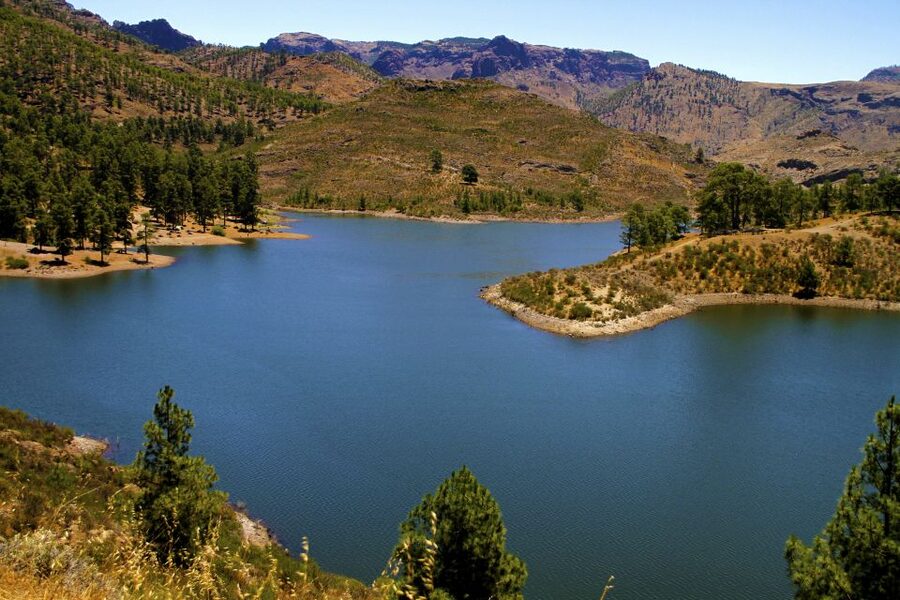 Gran Canaria Highlights Full-Day Tour by Bus - Arucas and the Church of San Juan Bautista