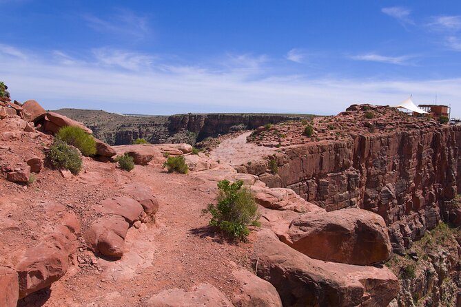Grand Canyon West Bus Tour with Hoover Dam and Optional Skywalk - Joshua Trees and the Mojave Desert