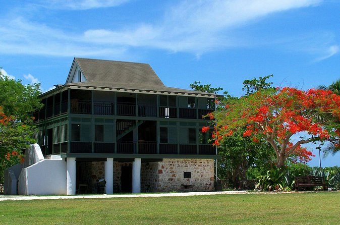 Grand Cayman Private Customized Bus Tour - Roadside food and the Rum Distillery