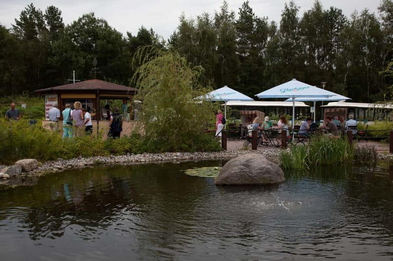 Grand country outing: a natural paradise between land and sea in winter by bus - Rankwitz harbor and the Peenestrom