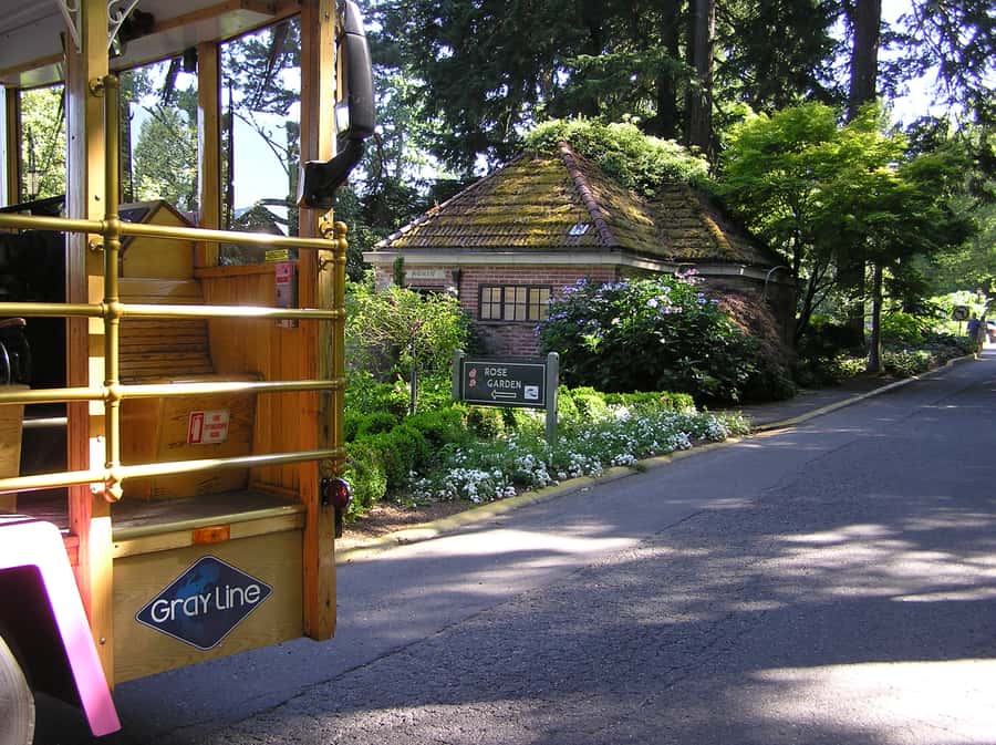 Gray Line Pink Trolley 2-Day Hop-On Hop-Off Tour Ticket - Key points to know before you ride