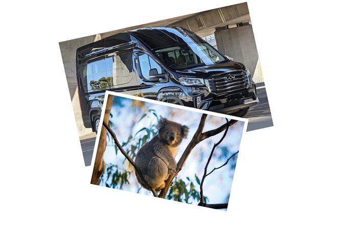 Great Ocean Road Tour Reverse –SML GRP-DLUX Mini Bus Hotel Pickup - What the $89.66 price really covers