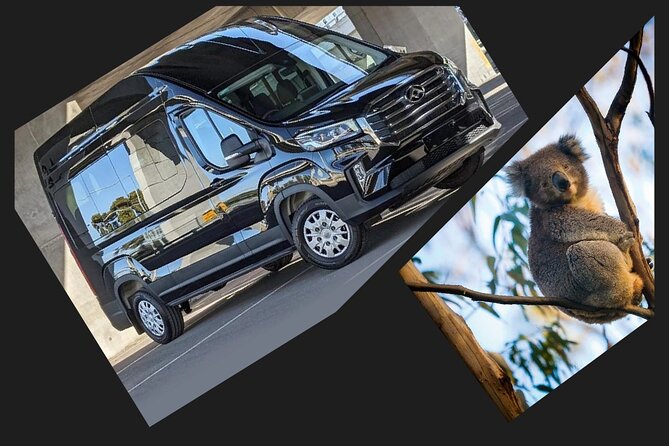 Great Ocean Road Tour Reverse –SML GRP-DLUX Mini Bus Hotel Pickup - Shipwreck Coast stories at Tom and Eva Lookout