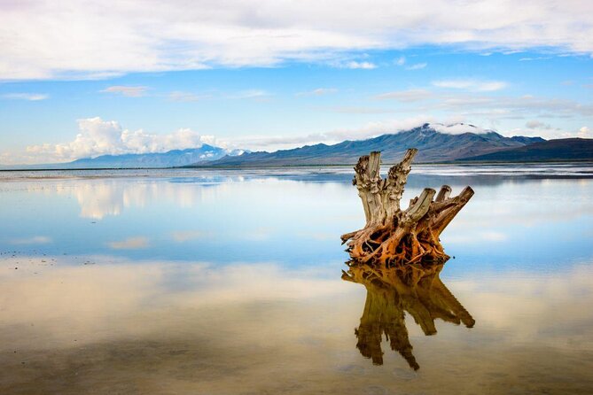 Great Salt Lake Guided Bus Tour from Salt Lake City - Key points to know before booking