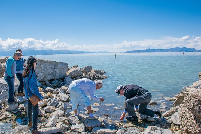 Great Salt Lake Guided Bus Tour from Salt Lake City - Weather can change the whole experience
