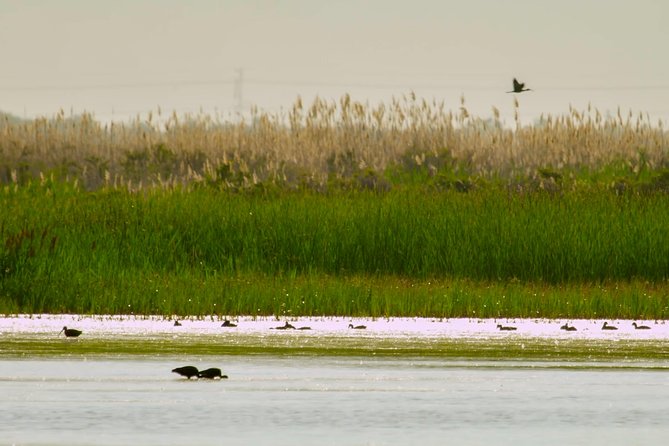 Great Salt Lake Guided Bus Tour from Salt Lake City - Booking, cancellation, and practical timing