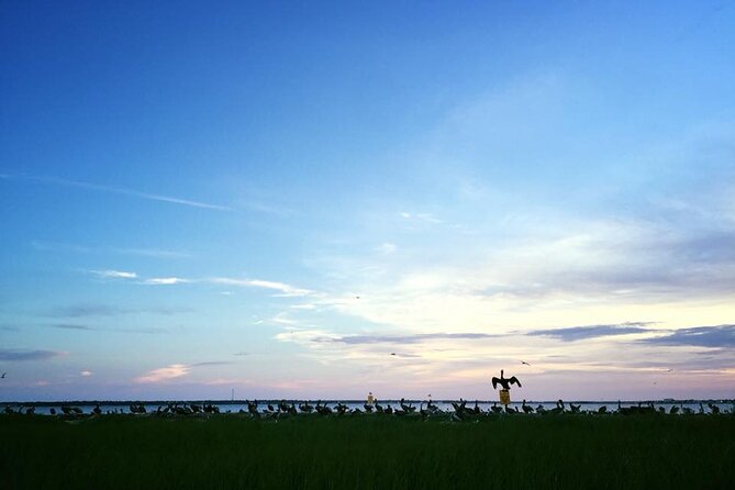 Guided Historical Bus and Boat Cruise Tour in Beaufort - Old Point, the Bluff, and the National Cemetery
