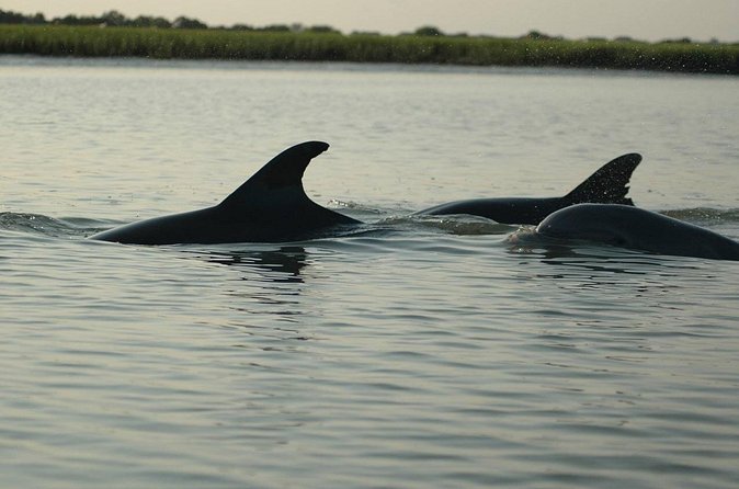 Guided Historical Bus and Boat Cruise Tour in Beaufort - What the $67.41 price gets you