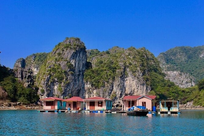 Ha Long Bay Day Cruise, Cave, Kayaking, Swimming, Bus & Lunch - Cruising through Ha Long Bay