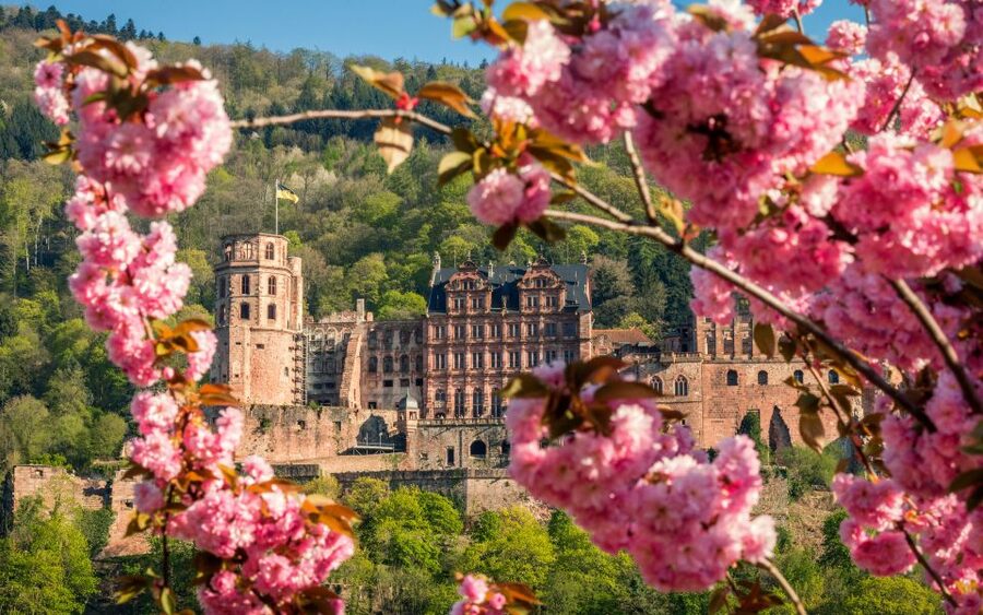 Heidelberg: Sightseeing Bus and Castle Tour - The Great Heidelberg Tun, a giant barrel with a story