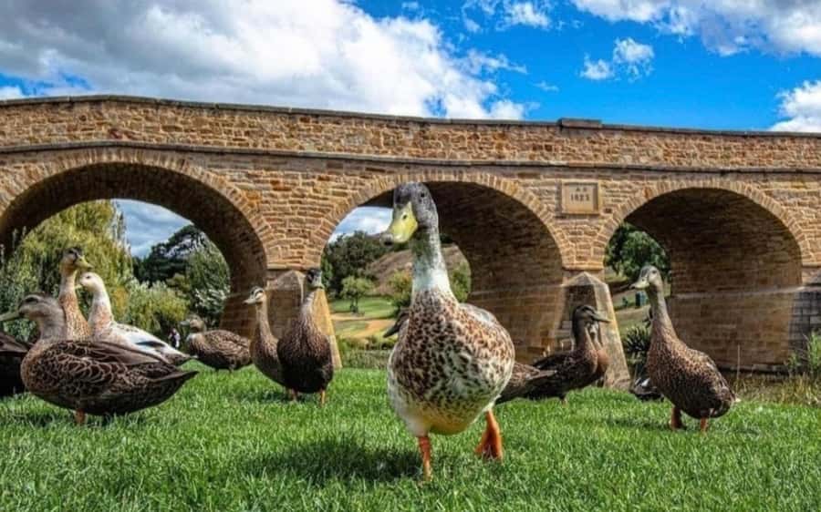 Historic Richmond Village Half-Day Coach Tour - How the $74 price works for you