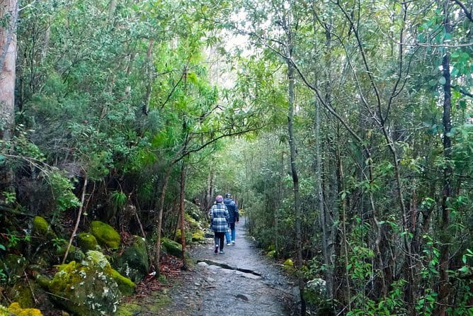 Hobart Hop-On Hop-Off Bus & kunanyi/Mt Wellington Tour - Commentary makes the bus more than a transfer
