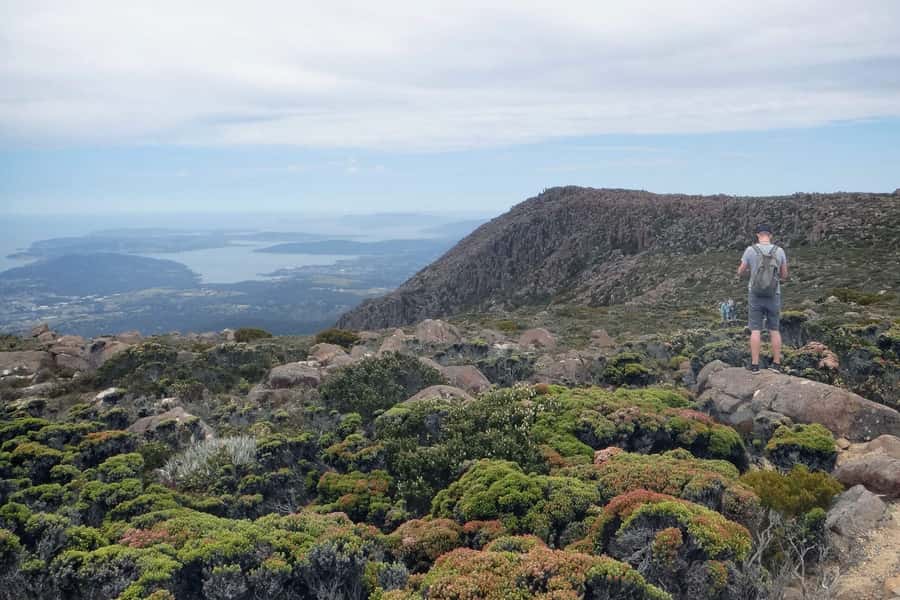 Hobart: kunanyi/Mt Wellington Explorer Bus Pass - Key points to know before you go