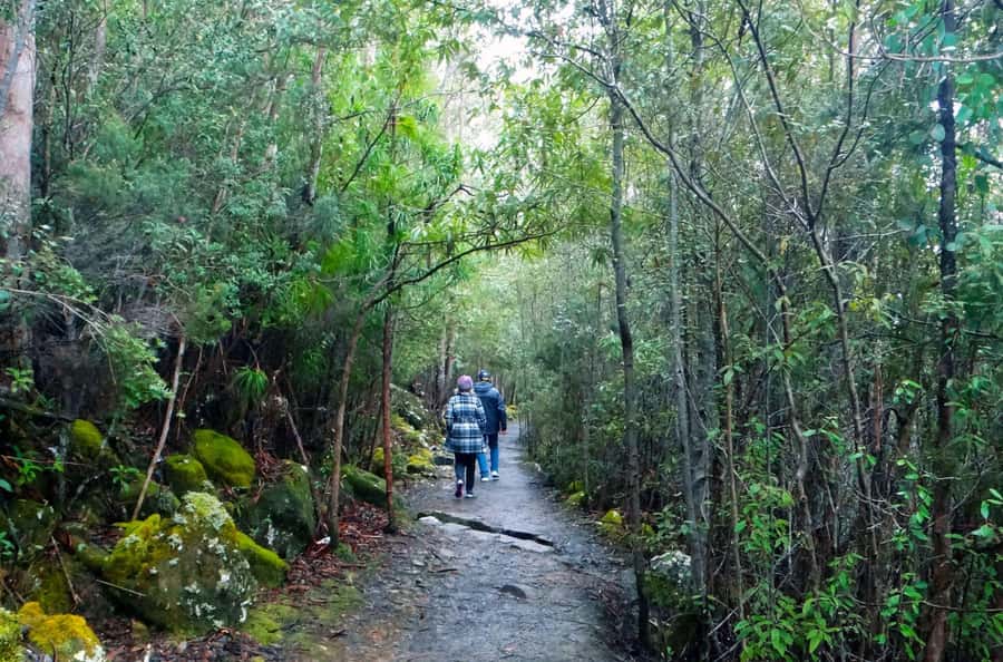 Hobart: kunanyi/Mt Wellington Explorer Bus Pass - Why the commentary matters
