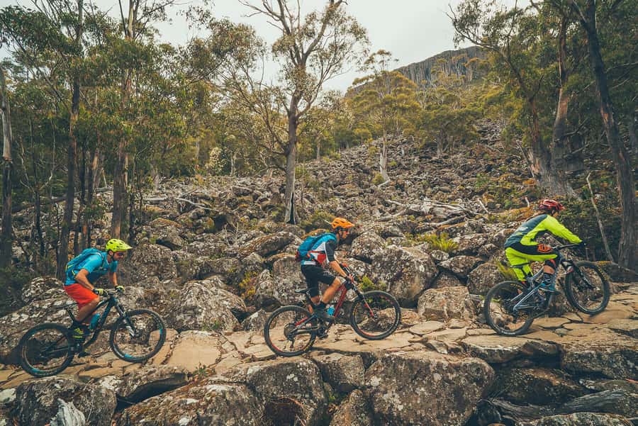 Hobart: kunanyi/Mt Wellington Explorer Bus Pass - Is $35 good value?