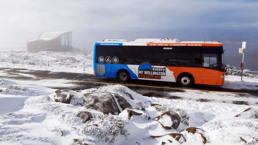 Hobart: kunanyi/Mt Wellington Explorer Bus Pass - Who should book this bus?