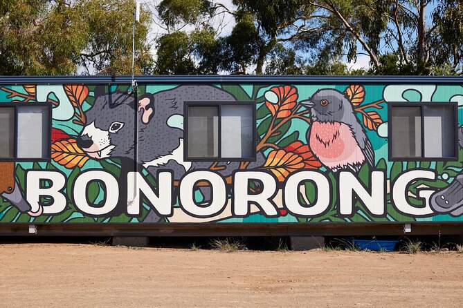 Hobart Shore Excursion: Bonorong Bus - Why the kangaroo encounter earns the fare