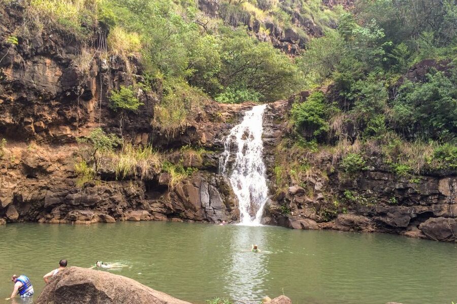 Honolulu: Oahu Island Full-Day Guided Tour by Bus with Lunch - How tiring is the day?