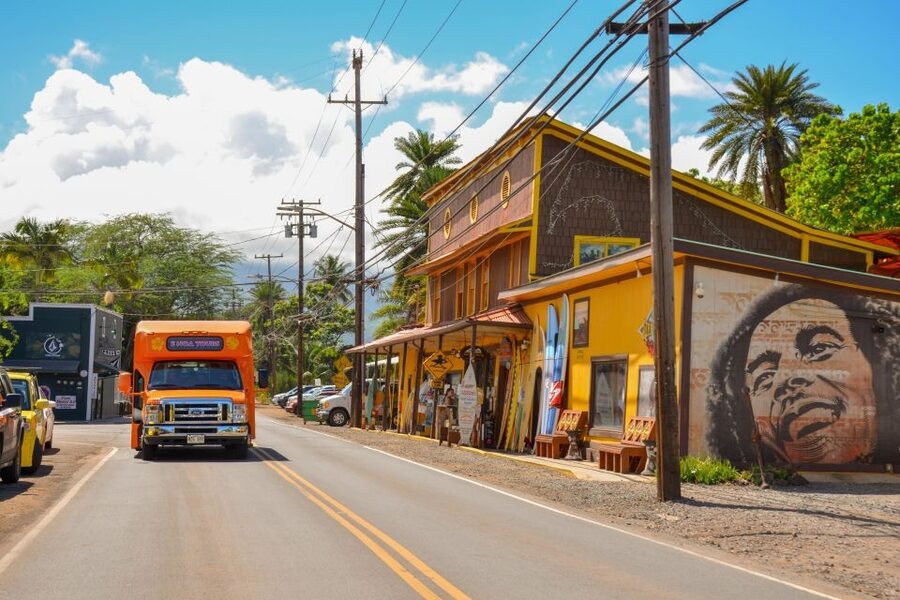 Honolulu: Oahu Island Full-Day Guided Tour by Bus with Lunch - Waimea Valley and the walk to the waterfall