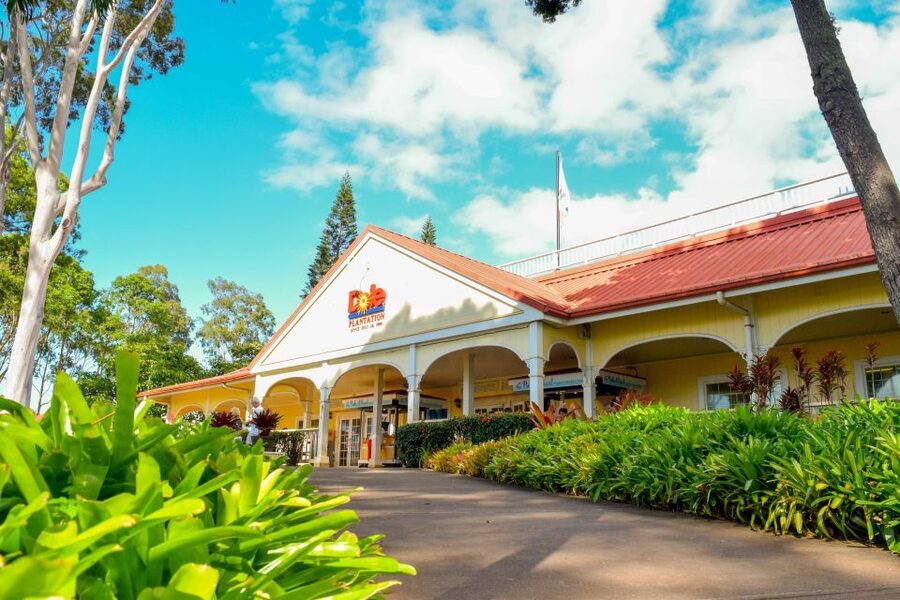 Honolulu: Oahu Island Full-Day Guided Tour by Bus with Lunch - Lunch and local flavors on a changing schedule