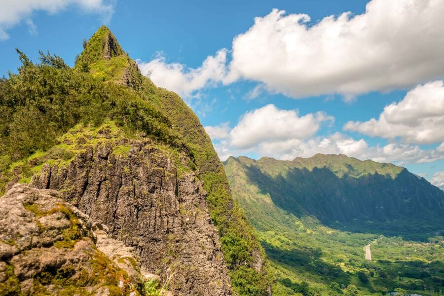 Honolulu: Oahu Island Full-Day Guided Tour by Bus with Lunch - The guides are a major part of the value