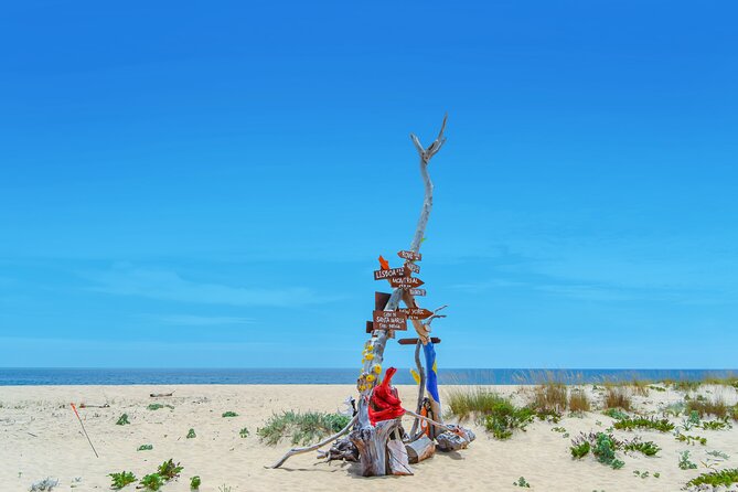Hop On Hop Off 3 Islands: Deserta, Farol and Culatra - Ilha Deserta, the quietest island stop