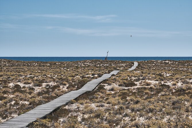 Hop On Hop Off 3 Islands: Deserta, Farol and Culatra - Culatra, where island life continues all year
