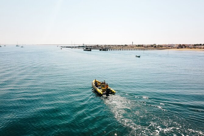 Hop On Hop Off 3 Islands: Deserta, Farol and Culatra - The value of $48.27