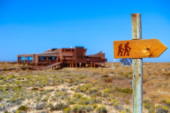 Hop On Hop Off 3 Islands: Deserta, Farol and Culatra - What the boat service gets right
