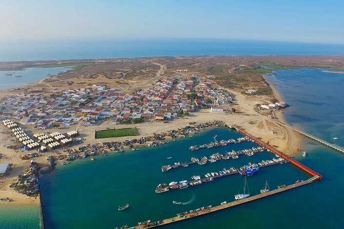 Hop On Hop Off 3 Islands: Deserta, Farol and Culatra - Who will enjoy this day most