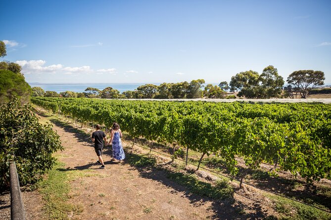Hop On Hop Off Bellarine Bellarine Peninsula - Bennetts on Bellarine