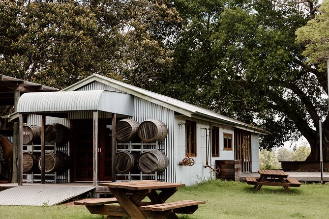 Hop on Hop Off Bus - Tamborine Mountain - Curtis Falls and the rainforest walks