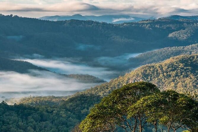 Hop on Hop Off Bus - Tamborine Mountain - How flexible is the hop-on hop-off service?