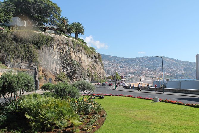 Hop-on Hop-off Bus Tour and Catamaran Whale & Dolphin Watching - Câmara de Lobos and the western coast