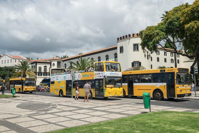 Hop-on Hop-off Bus Tour and Catamaran Whale & Dolphin Watching - Is $55.27 good value?