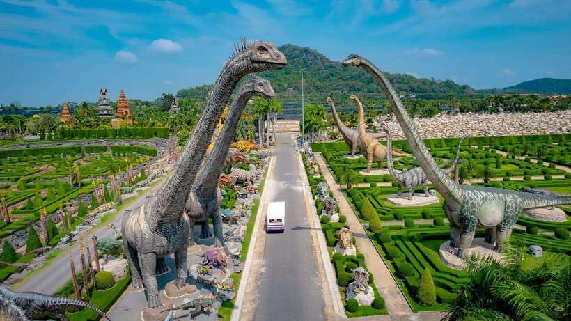 Hop-On Hop-Off Bus Tours and Nongnooch Pattaya Combo - Using the Nongnooch sightseeing bus