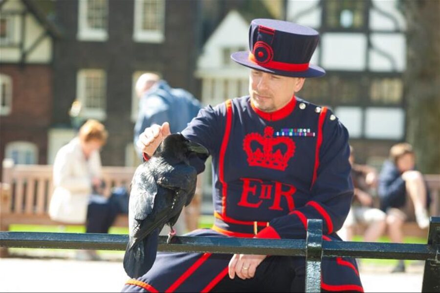 Hop on Hop off London Bus Tour & Tower of London - The Tower of London and Crown Jewels